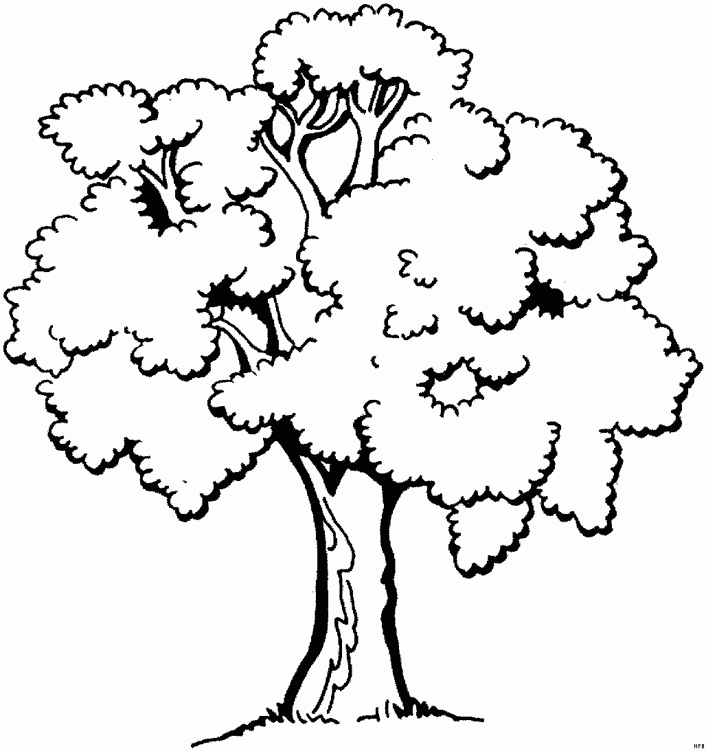 Baum Ausmalbild &amp; Malvorlage (Blumen) ganzes Malvorlagen Baum