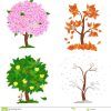 Baum In Vier Jahreszeiten - Frühling, Sommer, Herbst, Winter ganzes 4 Jahreszeiten Baum