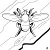 Biene Zum Ausmalen Zum Ausmalen - De.hellokids mit Biene Zum Ausmalen