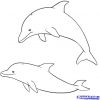 Bildergebnis Für Delphin Malvorlage | Delphinzeichnung in Delfin Malvorlage