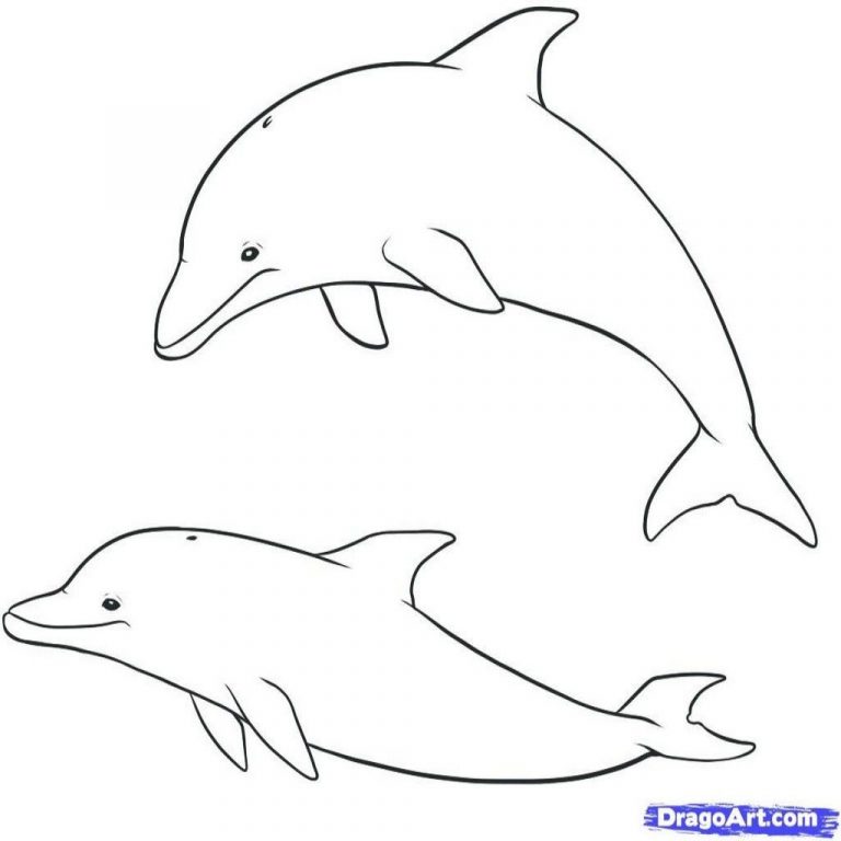 ausmalbilder delfine  malvorlagen kostenlos zum