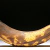 Biologie Warum Ist Die Banane Krumm? | Gesundheit | 1000 bestimmt für Warum Warum Ist Die Banane Krumm