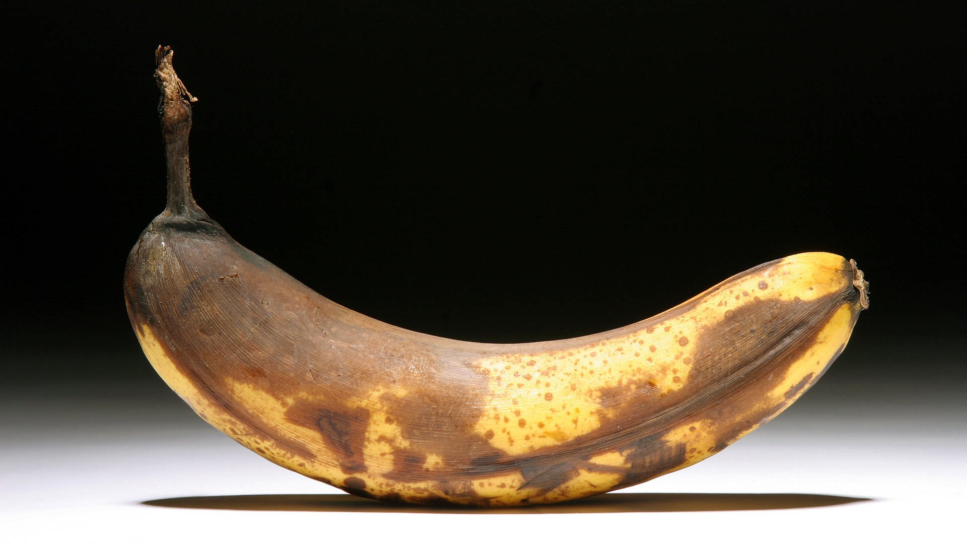 Biologie Warum Ist Die Banane Krumm? | Gesundheit | 1000 bestimmt für Warum Warum Ist Die Banane Krumm