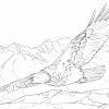 Bird Nest Coloring Pages (Mit Bildern) | Adler Skizze innen Ausmalbilder Adler