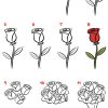 Blumen Malvorlage Kostenlos » Ausmalbilder Blumen verwandt mit Rosen Zeichnen Anleitung