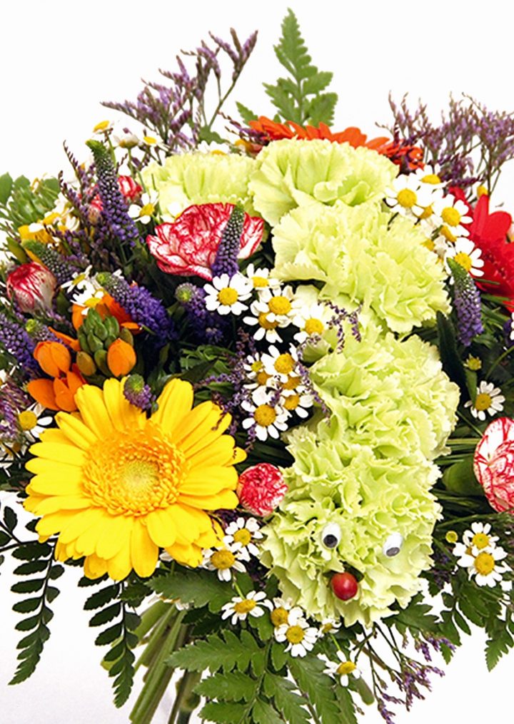 Blumenbilder Kostenlos Herunterladen Best 69 Besten Natur ganzes