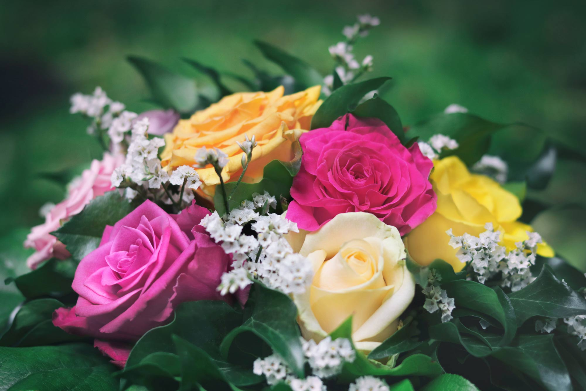 Blumenstrauß Rosen - Kostenlose Bilder Download | Titania Foto in Rosenbilder Kostenlos