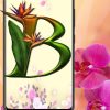 Buchstaben Wallpaper Hd (Blume) Für Android - Apk Herunterladen verwandt mit Blume Mit 6 Buchstaben