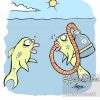 Cartoons Und Karikaturen Mit Fische für Fische Comic