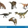 Collage Der Unterschiedlichen Art Der Dinosaurier ganzes Bilder Von Dinosauriern