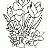 Coloring Pages Of Spring Flowers (Mit Bildern) | Malvorlagen mit Ausmalbilder Frühlingsblumen