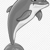 Common Bottlenose-Delfin, Spinner-Delfin Clipart - Delphin über Delphine Bilder Kostenlos