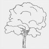 Coole Ausmalbilder Zum Ausdrucken In 2020 | Ausmalbilder über Malvorlagen Bäume Zum Ausdrucken