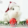 Coolphotos.de - Grußkarten - Weihnachtskarten - Frohe für Kostenlose Grußkarten Weihnachten Weihnachtskarten