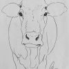 Cow Art #drawing Www.hoerskens.de (Mit Bildern verwandt mit Kuh Malen
