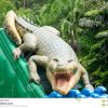 Das Aufblasbare Krokodil Der Kinder Stockfoto - Bild Von ganzes Krokodil Bilder Für Kinder