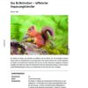 Das Eichhörnchen – Raffinierter Anpassungskünstler | Raabits bestimmt für Eigenschaften Tiere Psychologie
