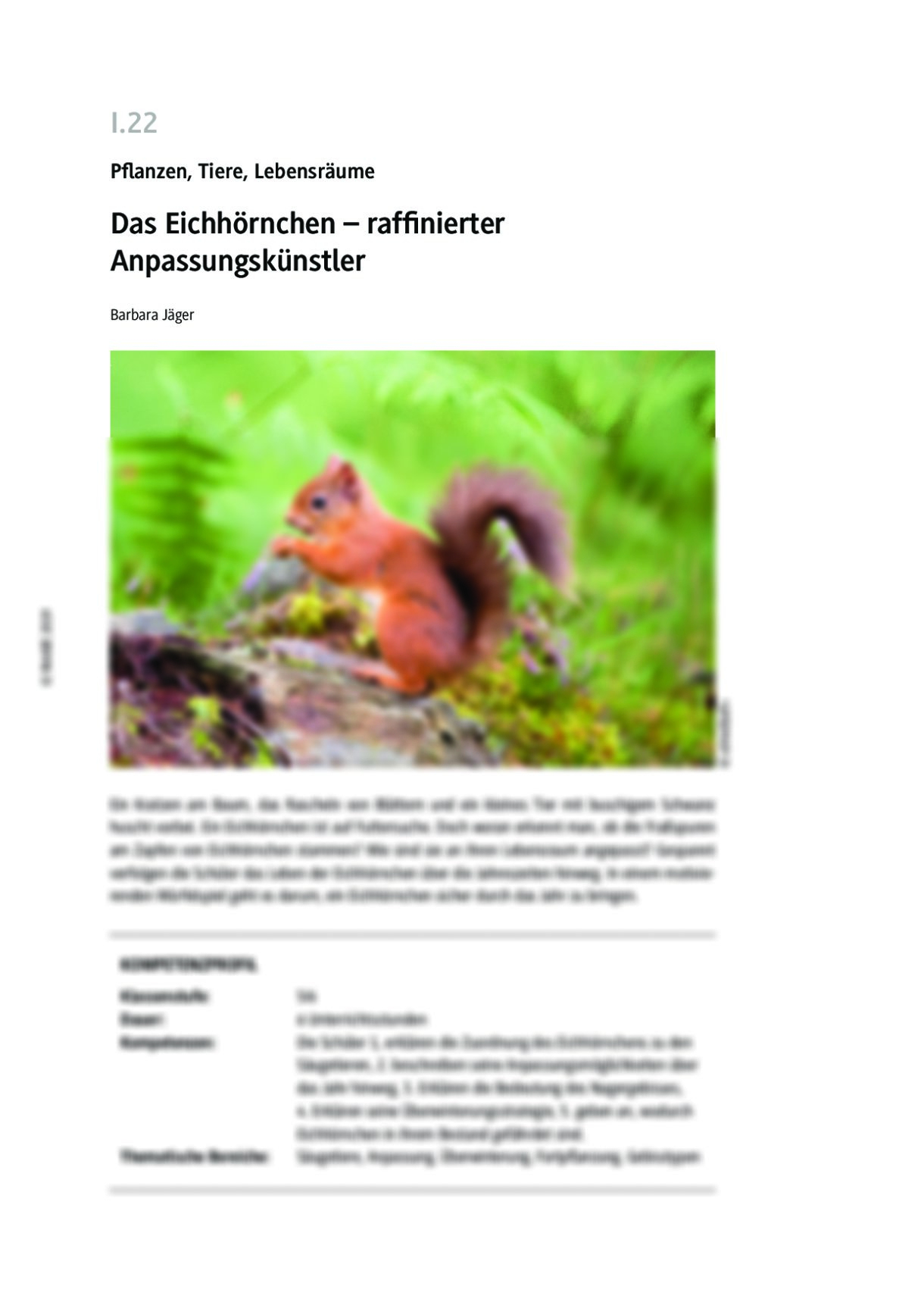 Das Eichhörnchen – Raffinierter Anpassungskünstler | Raabits bestimmt für Eigenschaften Tiere Psychologie