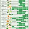 Dein Saisonkalender Für Das Ganze Jahr (Mit Bildern über Bilder Obst Und Gemüse Zum Ausdrucken