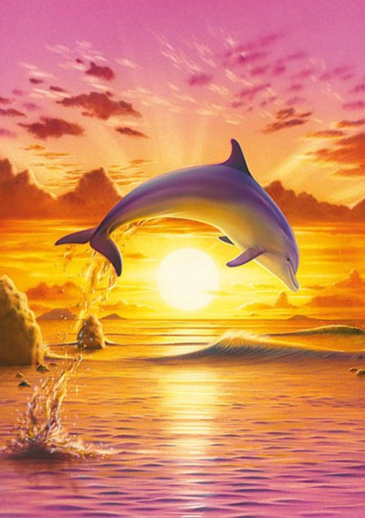 Delfin / Dolphin (Mit Bildern) | Delfine Bilder, Delphin bestimmt für Delphine Bilder Kostenlos