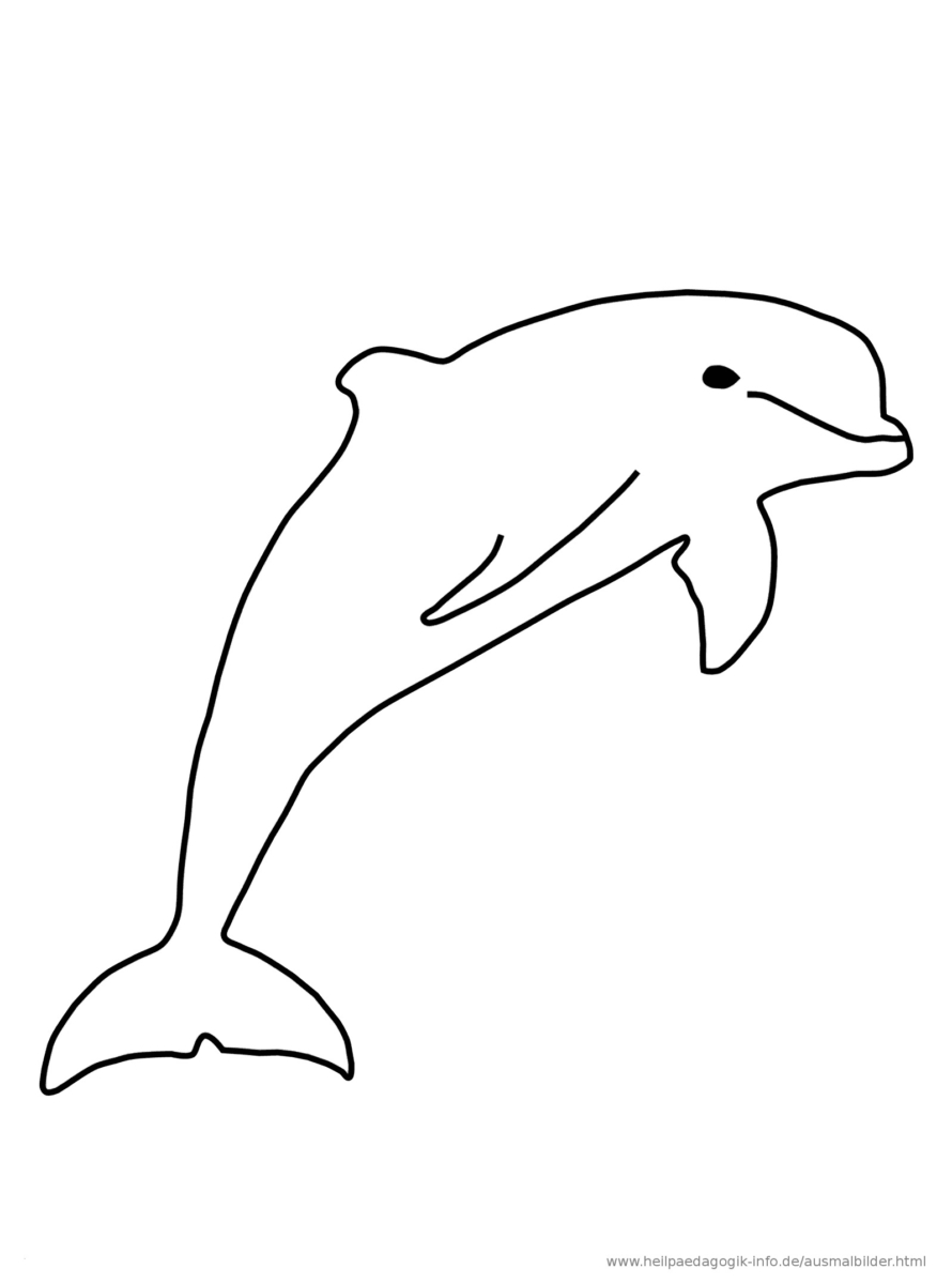 Delfin Malvorlage (Mit Bildern) | Ausmalen, Ausmalbilder innen Delfin Malvorlage