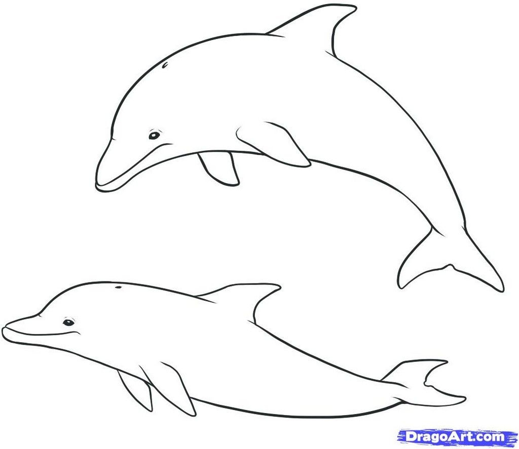 Delfin Malvorlagen (Mit Bildern) | Delphinzeichnung, Delfin bestimmt für Delfin Bilder Zum Ausmalen
