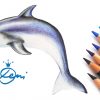 Delfin Zeichnen Lernen Mit Buntstiften💦🐬how To Draw A Dolphin 🐬как Се  Рисува Делфин ganzes Delfine Zeichnen