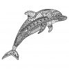 Delfine 48109 - Delfine - Malbuch Fur Erwachsene für Delfin Ausmalbilder Zum Ausdrucken