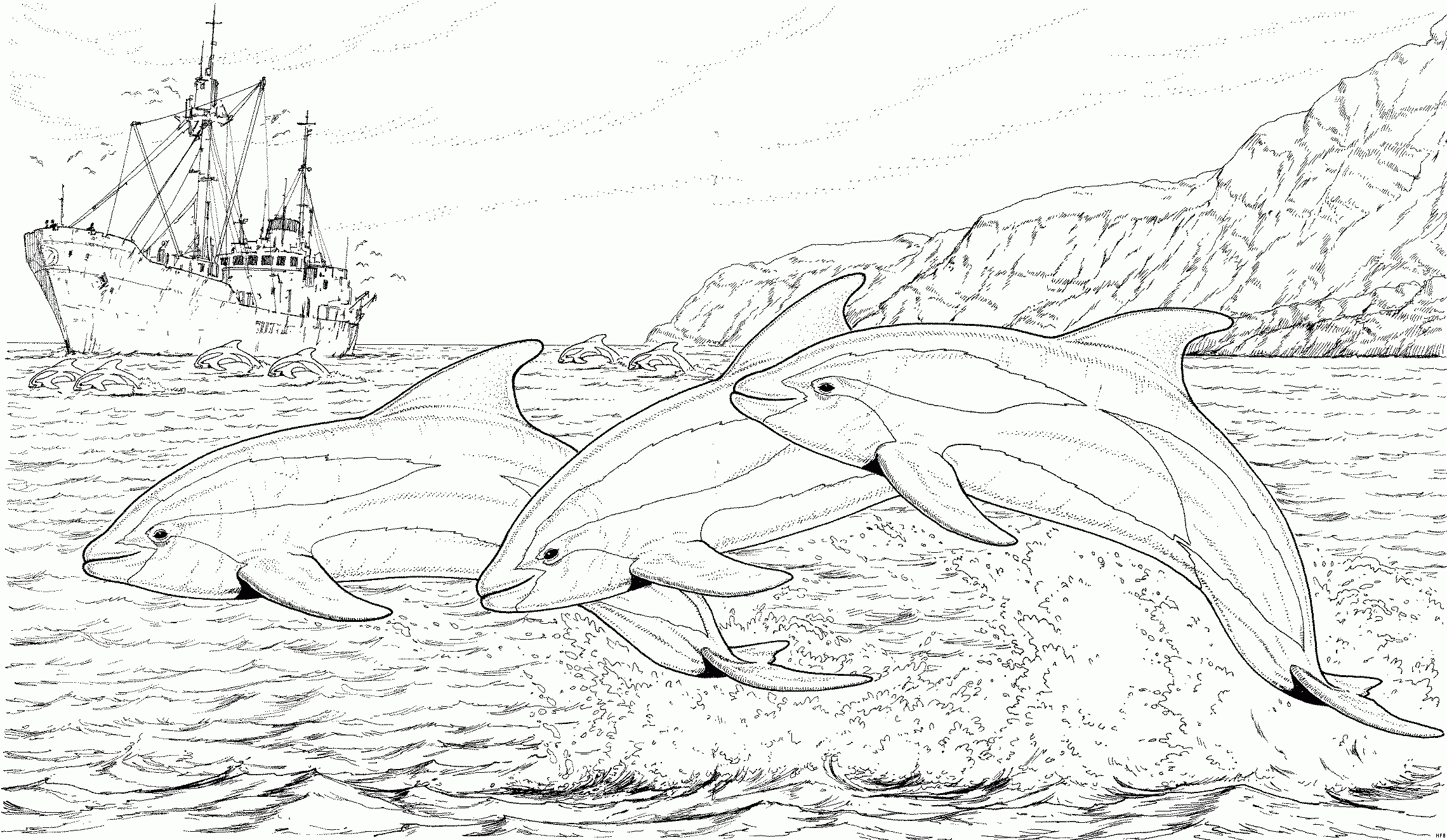 Delfine In Aktion Ausmalbild &amp; Malvorlage (Tiere) für Ausmalbild Delfin