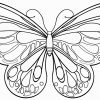 Die Besten 20 Schmetterlinge Ausmalbilder (Mit Bildern verwandt mit Malvorlage Schmetterling