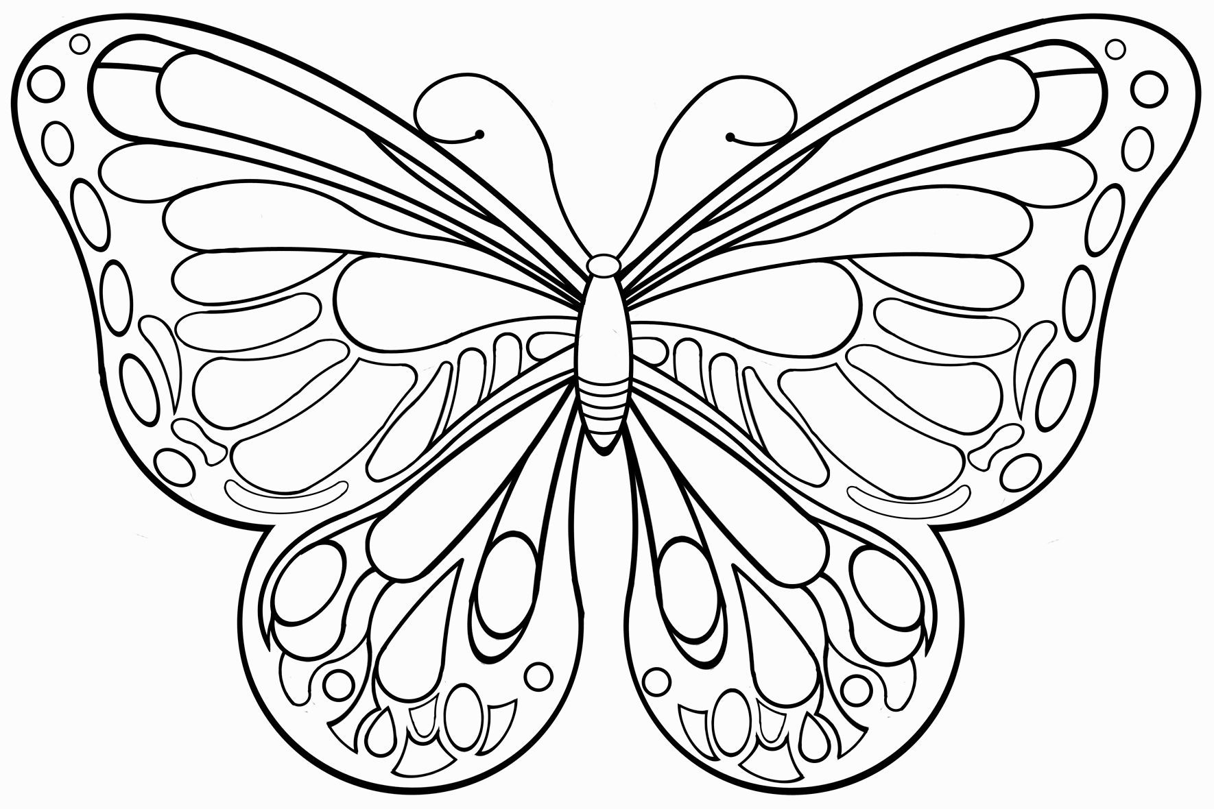 Die Besten 20 Schmetterlinge Ausmalbilder | Schmetterling ganzes Schmetterling Zum Ausdrucken