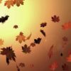 Die Blätter Fallen Im Kleverland - Der Herbst Kommt über Warum Fallen Im Herbst Die Blätter Von Den Bäumen
