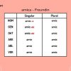 Die O- Und A- Deklination Bei Lateinischen Substantiven (Vorschau) über Nomen Mit O