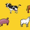 Die Tiere Auf Dem Bauernhof - Lernen Mit Monika Häuschen: Lernvideos Für  Kinder bestimmt für Tiere Für Kleinkinder