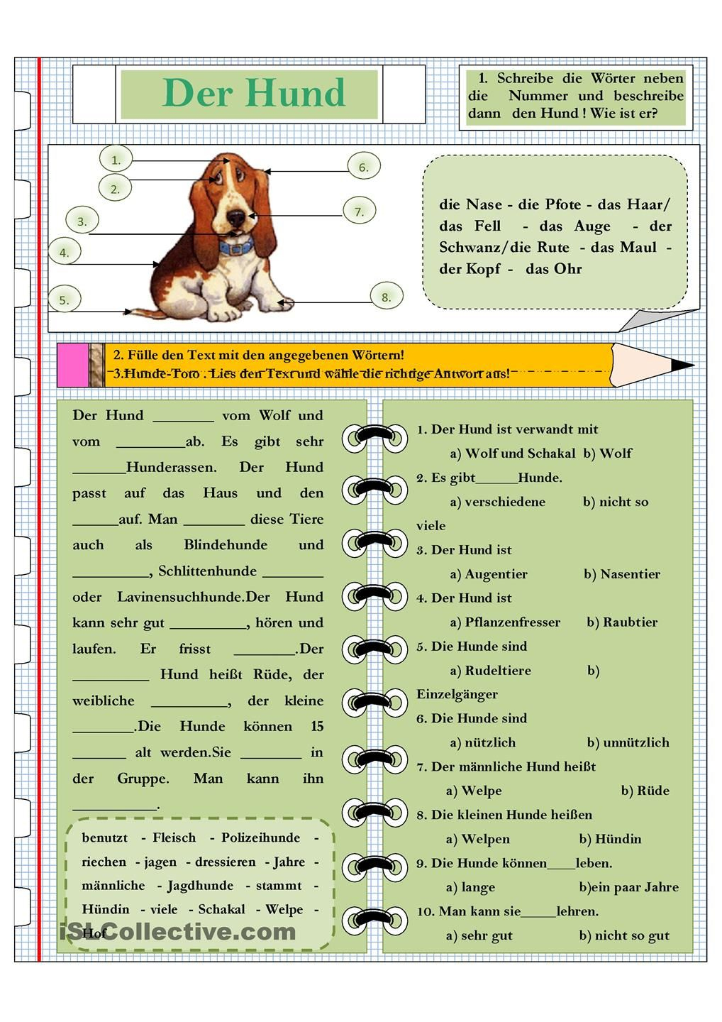 Die Tiere Der Hund | Schulhund, Hunde, Tiergestützte Pädagogik über Hunderasse Kreuzworträtsel
