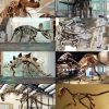 Dinosaurier – Wikipedia über Dinosaurier Namen Und Bilder