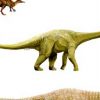 Drei Neue Dinosaurier-Arten In Australien Entdeckt | Welt bei Dinosaurier Namen Und Bilder