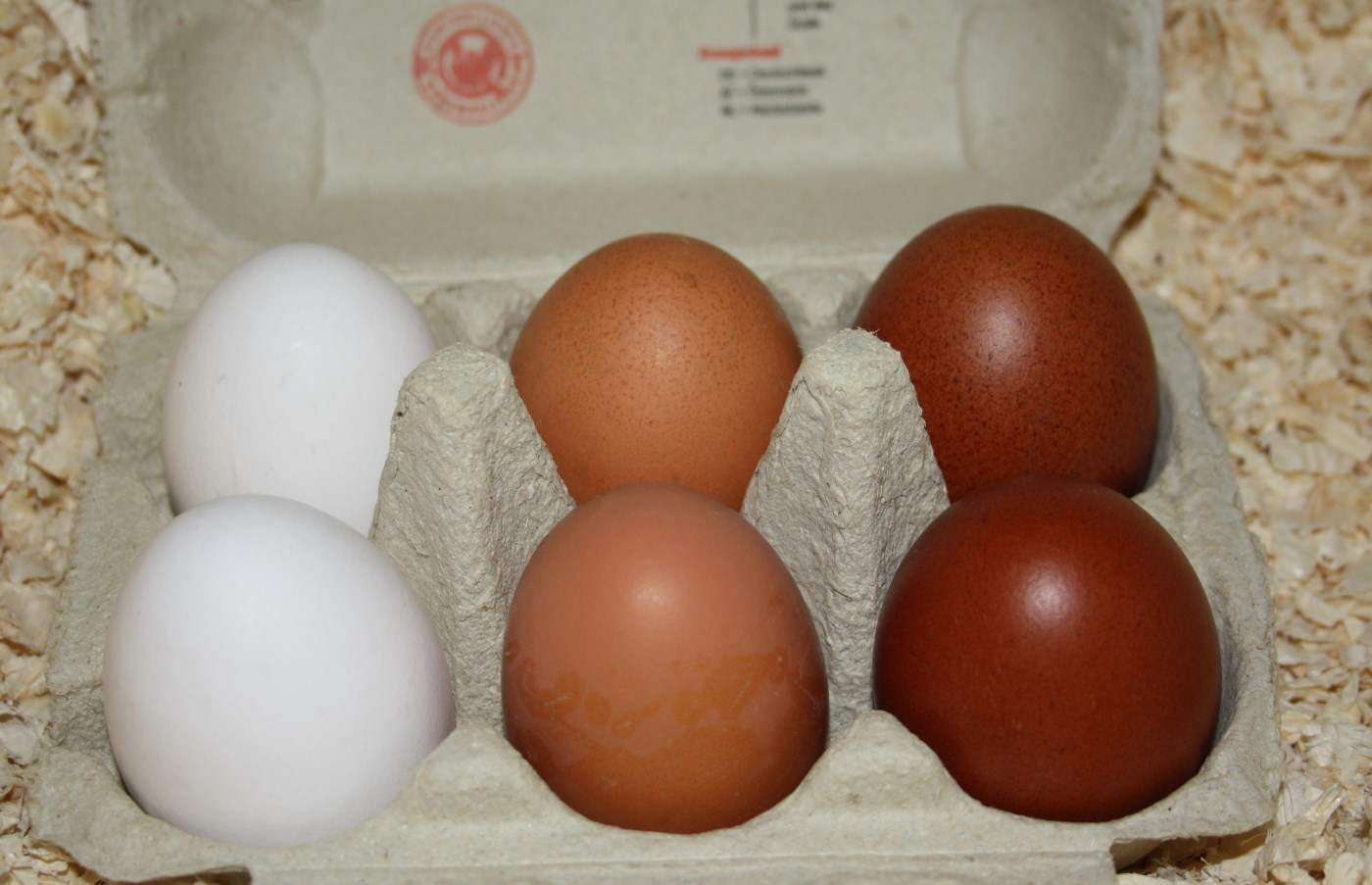 Dunkelbraune Hühnereier | Hühner Halten innen Warum Gibt Es Weiße Und Braune Eier