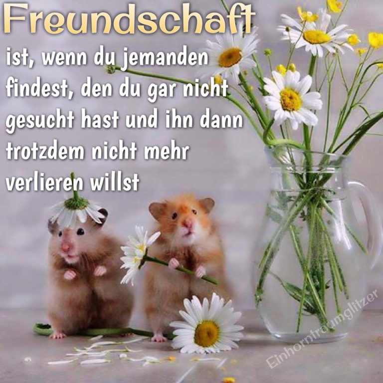 Frühling Bilder, Wallpaper Und Bildschirmschoner Für Ihr Handy für