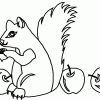 ▷ Eichhörnchen Ausmalbilder &amp; Malvorlagen: Animierte Bilder bei Eichhörnchen Malvorlage