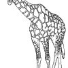 ▷ Giraffe - Gratis Ausmalbild in Giraffe Ausmalbild