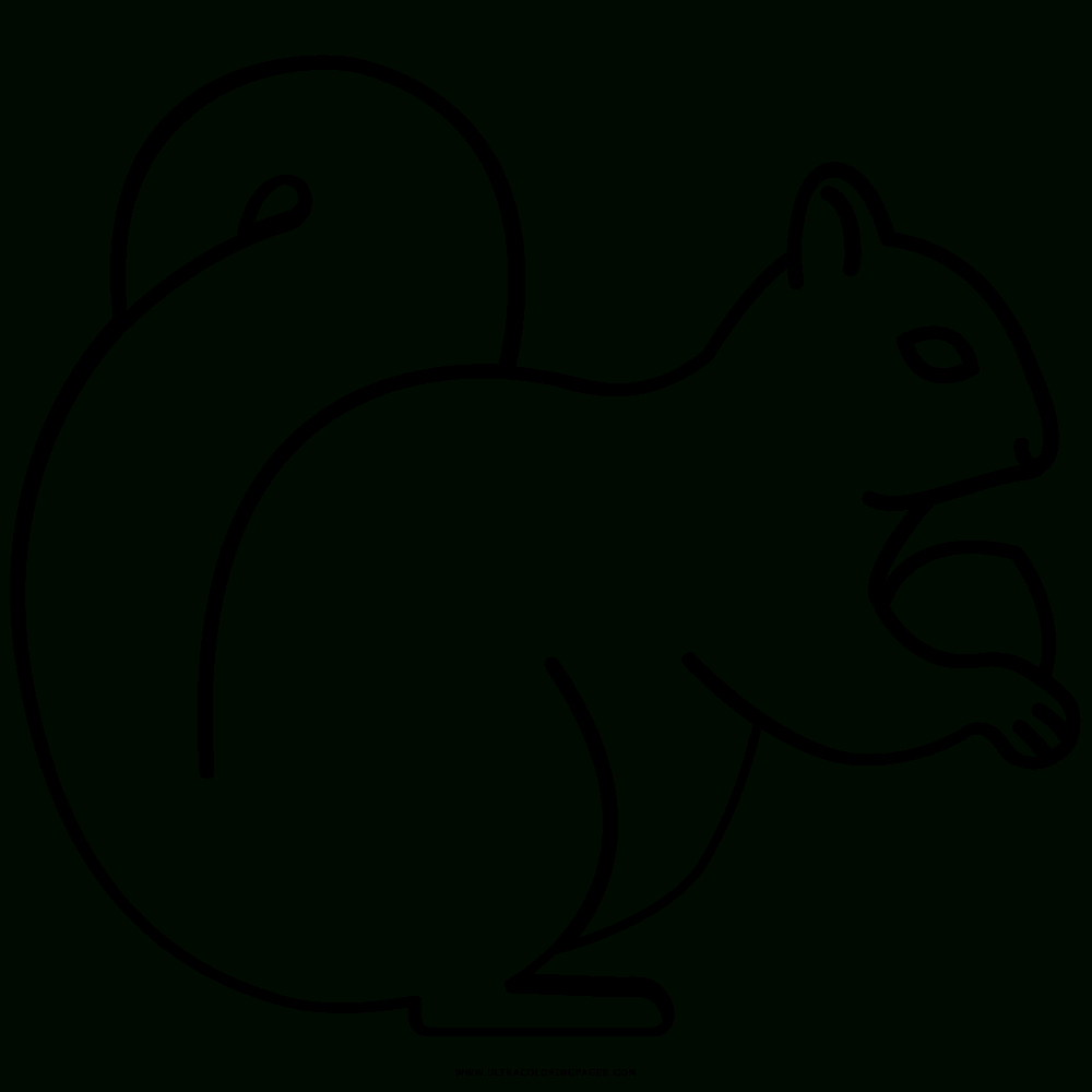 Eichhörnchen Ausmalbilder - Ultra Coloring Pages bestimmt für Eichhörnchen Malvorlage