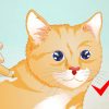 Ein Katzengesicht Zeichnen: 8 Schritte (Mit Bildern) – Wikihow ganzes Katzengesicht Zeichnen