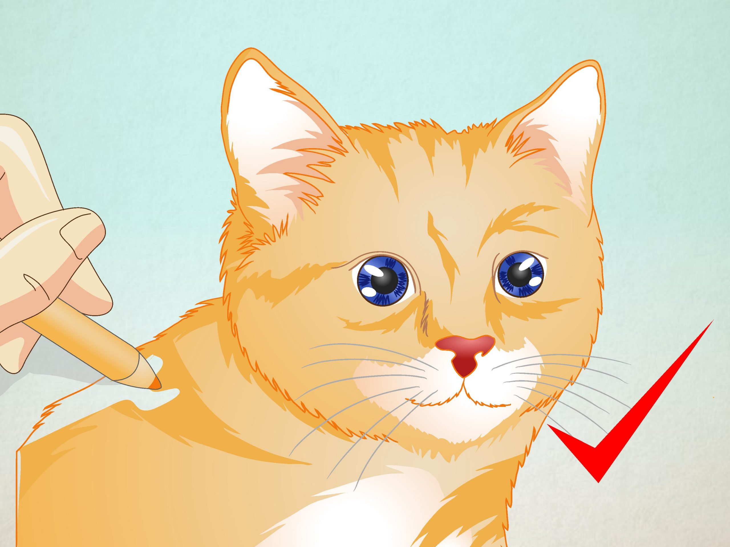 Ein Katzengesicht Zeichnen: 8 Schritte (Mit Bildern) – Wikihow ganzes Katzengesicht Zeichnen