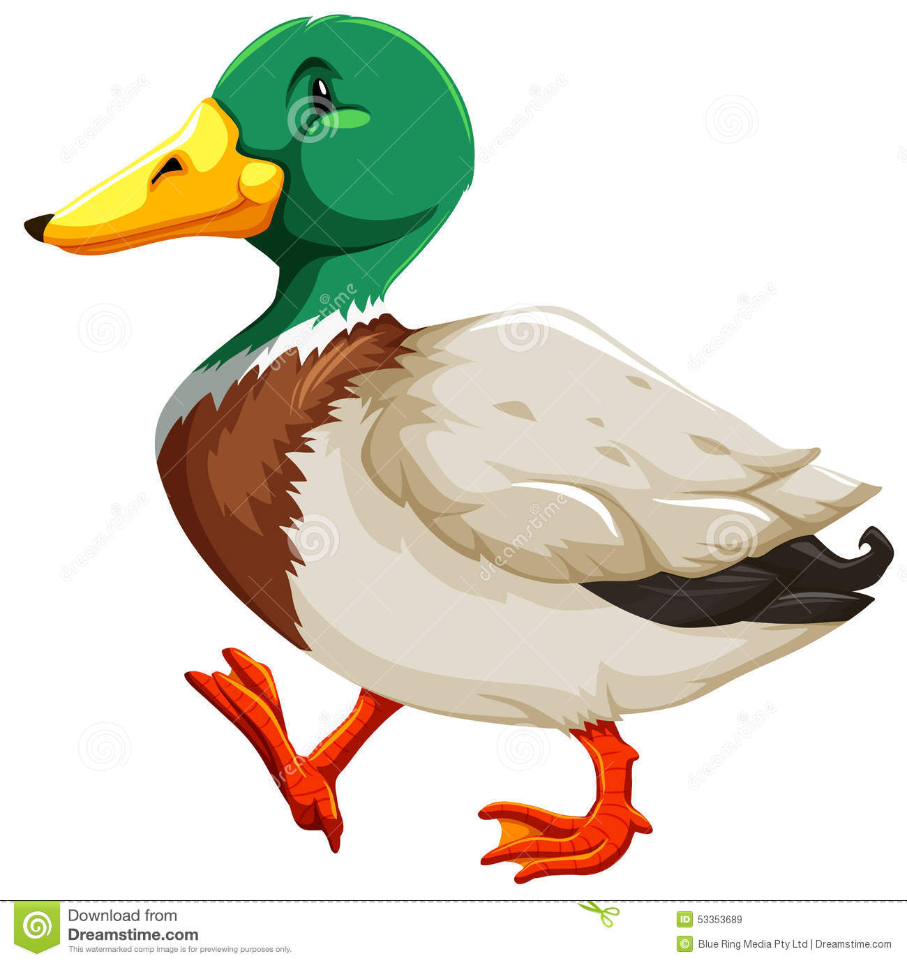 Eine Ente Vektor Abbildung. Illustration Von Getrennt - 53353689 über Zeichnung Ente