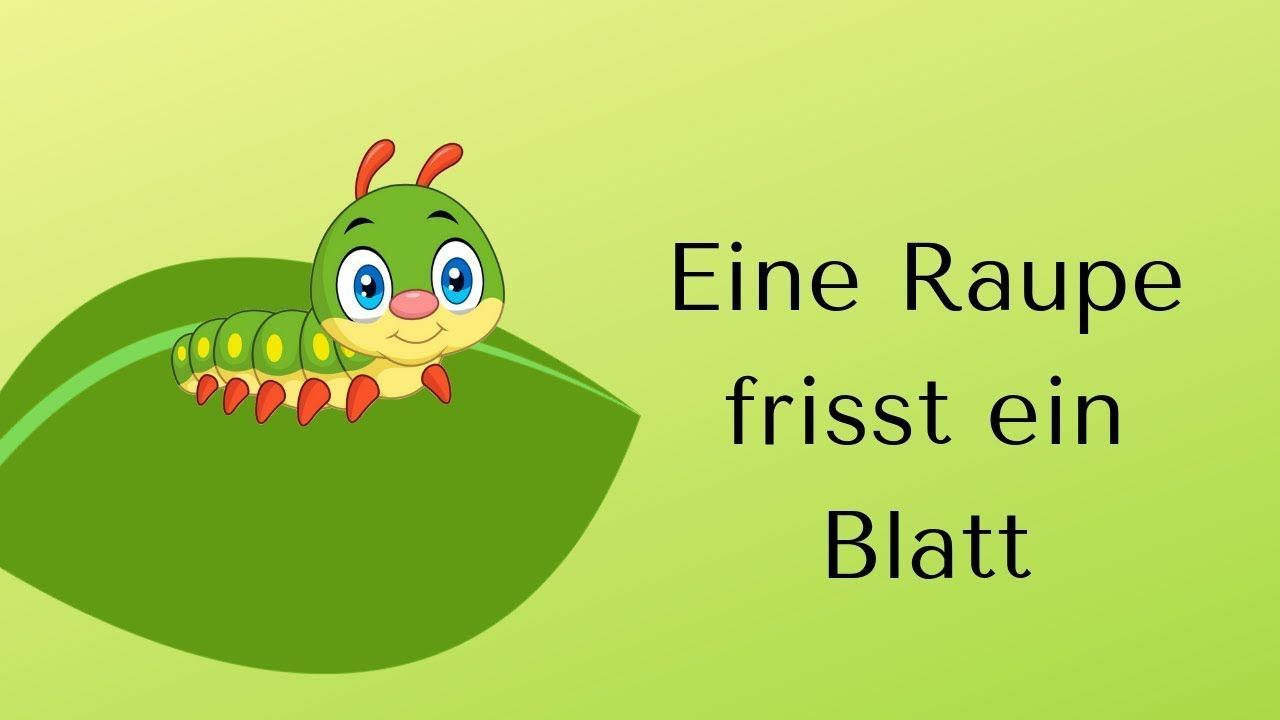 Eine Raupe Frisst Ein Blatt&quot; (Krippe - Lied Mit Gesten bei Von Der Raupe Zum Schmetterling Kindergarten