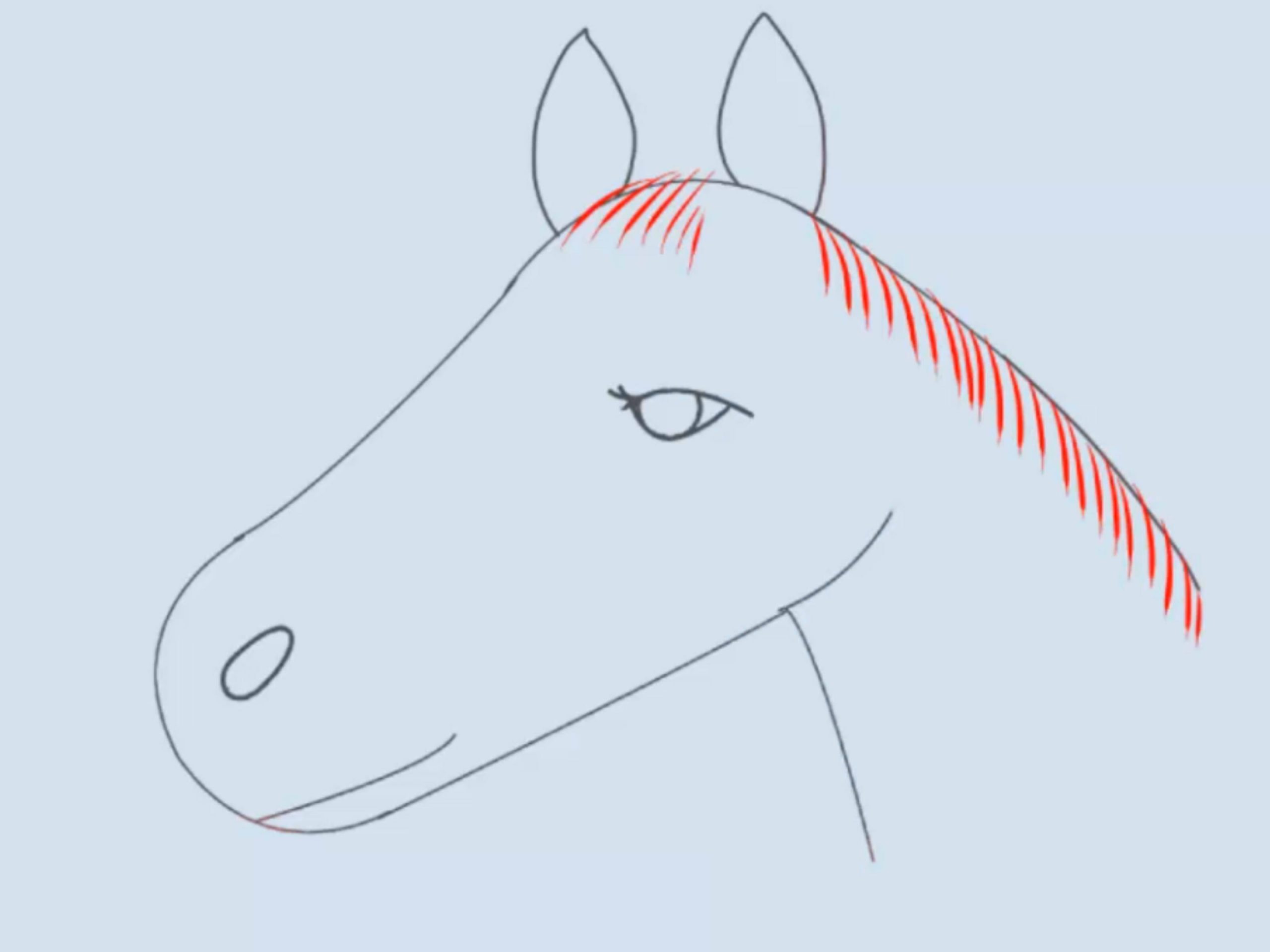 Einen Pferdekopf Zeichnen: 15 Schritte (Mit Bildern) – Wikihow bei Pferdekopf Zeichnen Schritt Für Schritt