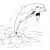 Einzigartig Ausmalbild Delfine | Ausmalen, Ausmalbilder für Delfin Ausmalbild