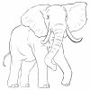 Elefant Malvorlage | Coloring And Malvorlagan in Malvorlage Elefant