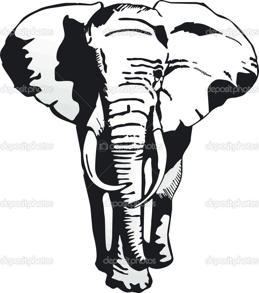 Elefant — Stockvektor © Scusi0-9 #2943368 | Metal Wall innen Zeichnungen Vorlagen Elefanten